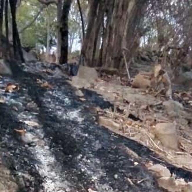 Akibat Pembakaran Lahan, Pipa Air Bersih di Wawo Terbakar