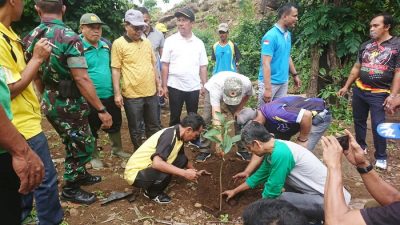 Karang Taruna Kecamatan Raba Penghijauan di Gunung Rite - Kabar Harian Bima