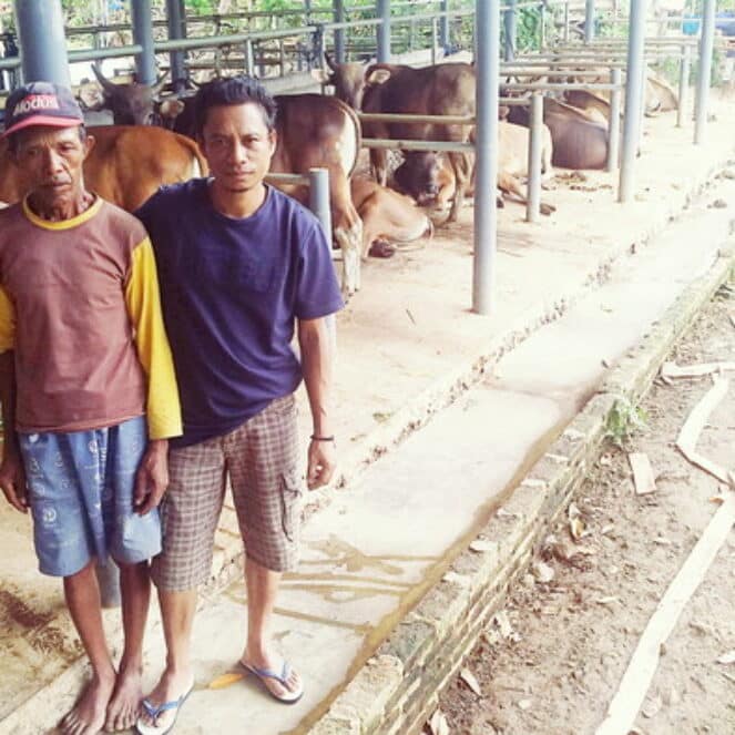 Syahbuddin, Wakil Rakyat yang Memotivasi Warga Beternak Sapi