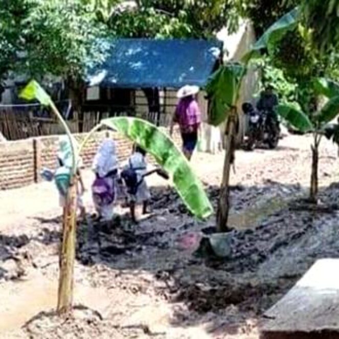 Janji Aspal tak Kunjung Ditepati, Warga Pandai Tanam Pohon Pisang di Jalan 