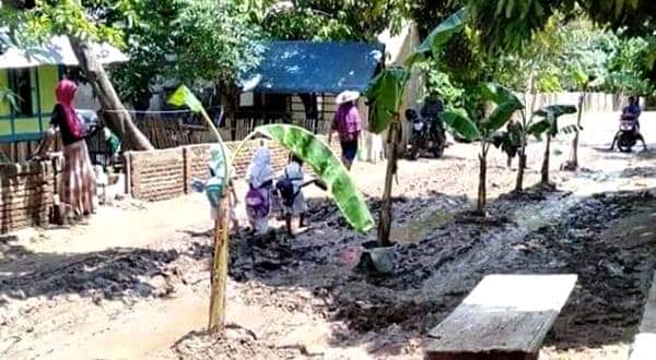 Janji Aspal tak Kunjung Ditepati, Warga Pandai Tanam Pohon Pisang di Jalan  - Kabar Harian Bima