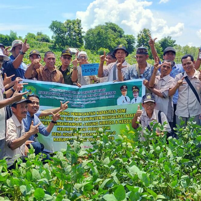 Dinas Pertanian dan Hortikultura Kabupaten Manggarai Barat Datang Studi Banding di UD Pemuda Kreatif