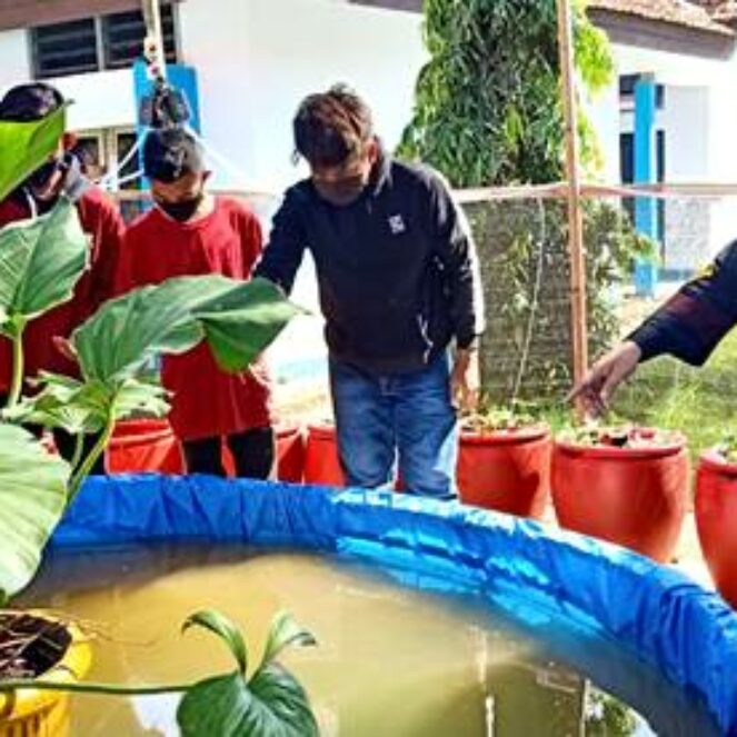 SMAN 4 Manfaatkan Lahan Sekolah untuk Budidaya Ikan Lele dan Kangkung