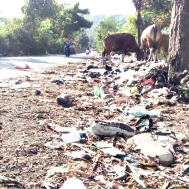 Jorok, Banyak Sampah Berserakan dan Berbau di Pinggir Jalan Desa Renda