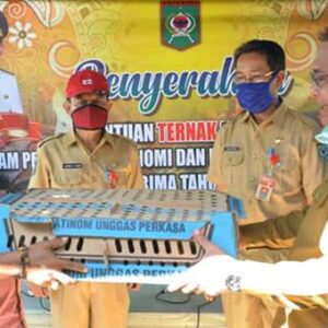 100 Kelompok Ternak Unggas Terima Bantuan dari Pemkot Bima