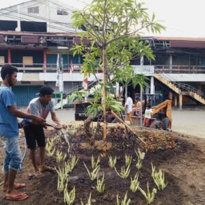 Akhir Tahun DLH Fokus Maksimalkan Program Kota Rindang