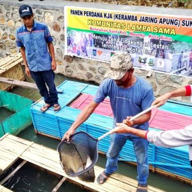 KLS Kelurahan Santi Panen Perdana Ikan Karamba Jaring Apung