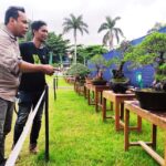 Pameran dan Kontes Bonsai Tingkat Nasional Digelar di Kota Bima - Kabar Harian Bima