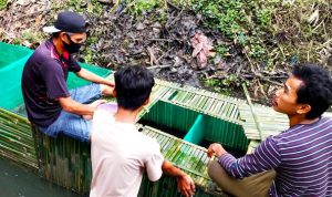 Usaha Kepemudaan, Komunitas Lawoto Santi Budidaya Ikan Lele - Kabar Harian Bima