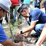 Walikota Bima Tanam Pohon Lamtoro Taramba Kelurahan Panggi - Kabar Harian Bima