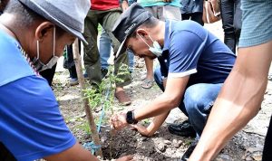 Walikota Bima Tanam Pohon Lamtoro Taramba Kelurahan Panggi - Kabar Harian Bima