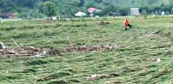 16 Hektar Lahan Pertanian di Kota Bima Terdampak Banjir - Kabar Harian Bima