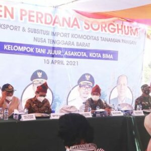 Bersama Kampung Berseri Astra, Panen Perdana Sorghum Berjalan Sukses