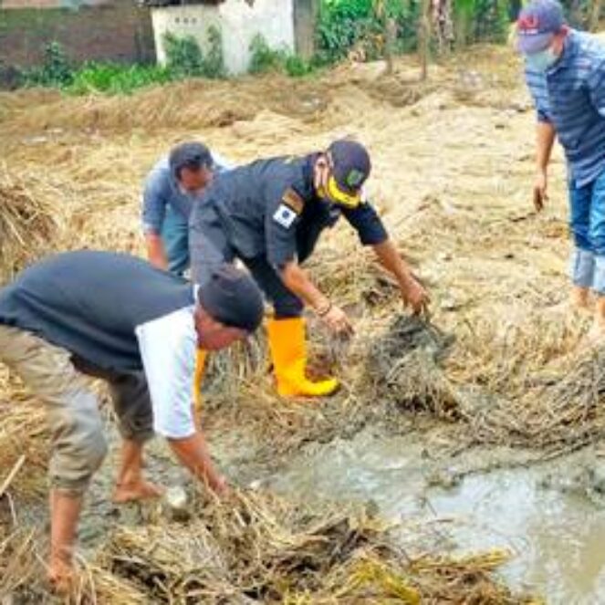 Disnakertrans Gotong Royong Bersihkan MIN Sakuru yang Terendam Banjir