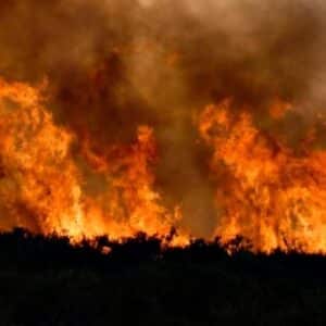 Kondisi Kemarau Normal, Warga Tetap Diimbau Waspada Kebakaran - Kabar Harian Bima