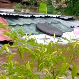 Banjir di Kota Bima, Pemukiman Kelurahan Santi Direndam Setinggi Atap Rumah - Kabar Harian Bima