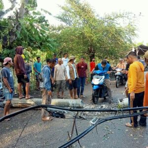 Puting Beliung di Kota Bima, Pohon Tumbang, Rumah Warga Rusak
