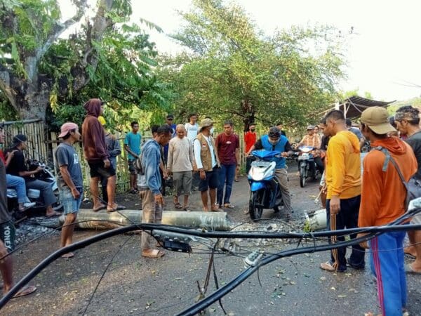 Puting Beliung di Kota Bima, Pohon Tumbang, Rumah Warga Rusak - Kabar Harian Bima