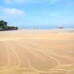 WALHI: Limbah Minyak di Teluk Bima Akibat Keteledoran Pertamina - Kabar Harian Bima