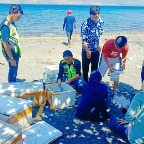 BKSDA NTB Kembalikan 250 Karang Tanpa Dokumen di Laut So Sanumbe