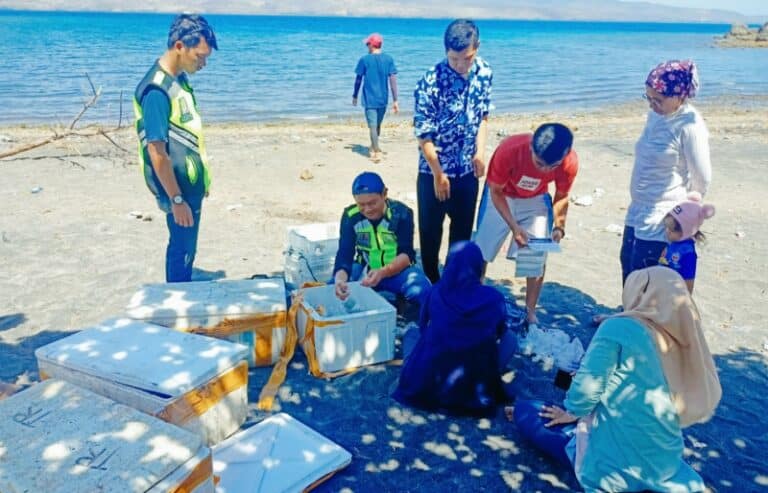 BKSDA NTB Kembalikan 250 Karang Tanpa Dokumen di Laut So Sanumbe - Kabar Harian Bima