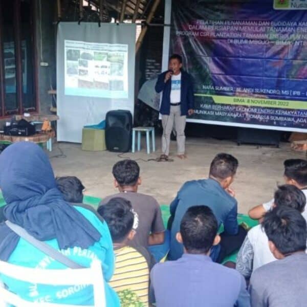 Forkom Masbiwa Bersama PLN Nusantara dan Power & PJB Services Sosialisasi Manfaat Tanaman Energi Kaliandra Merah