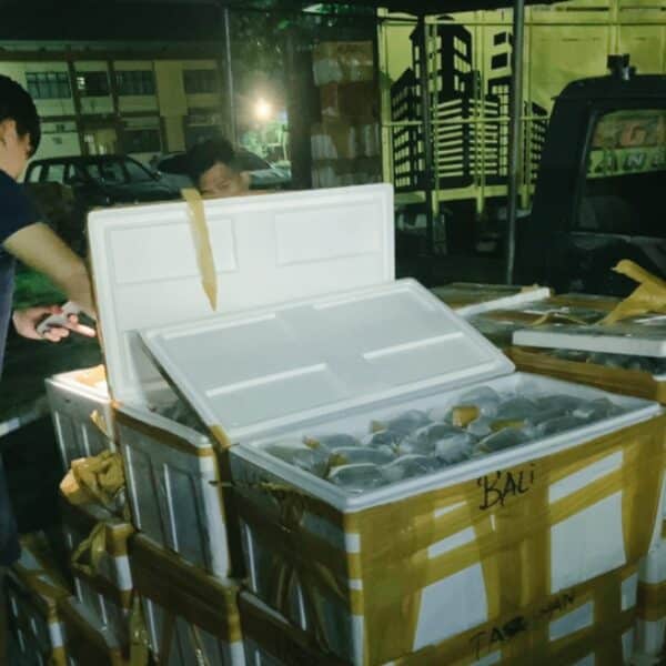 Tim Puma Gagalkan Penyelundupan 19 Box Terumbu Karang - Kabar Harian Bima