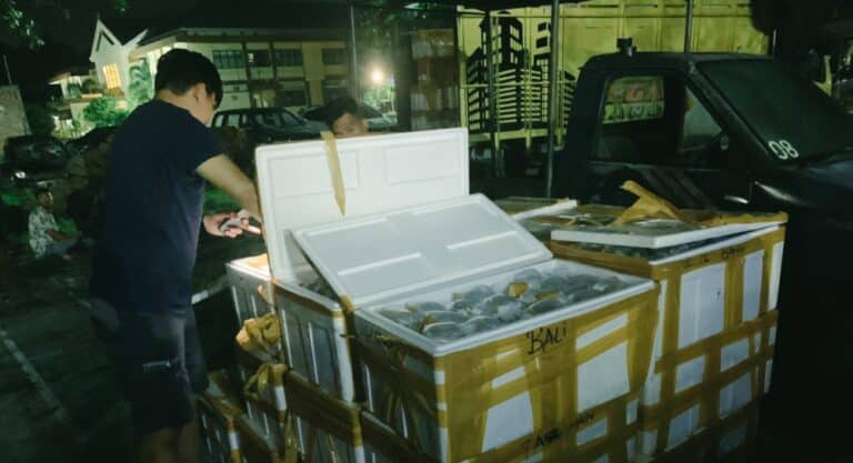 Tim Puma Gagalkan Penyelundupan 19 Box Terumbu Karang - Kabar Harian Bima