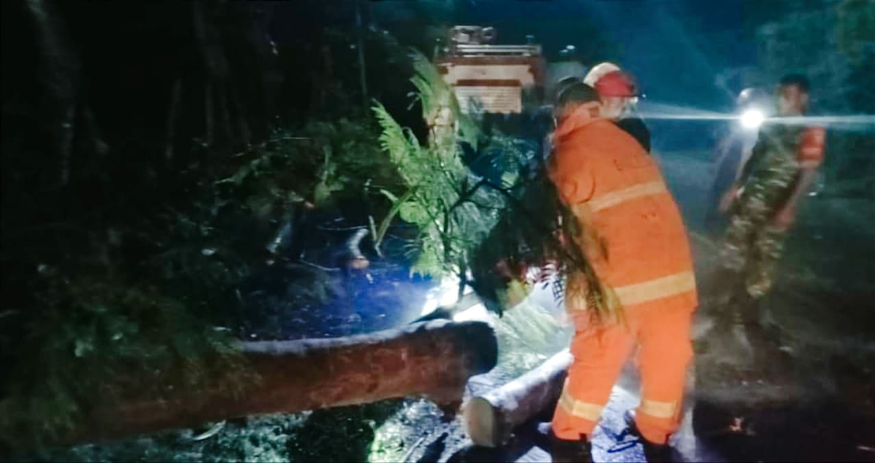 Dinas Damkar Bersihkan Pohon Tumbang dan Evakuasi Ular Phyton - Kabar Harian Bima