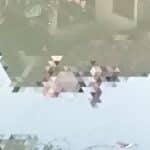 Mayat Pria Ditemukan Mengapung di Sungai Padolo - Kabar Harian Bima