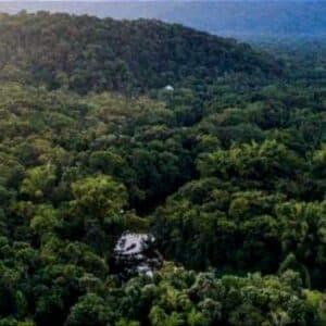 Meneguhkan Etika Lingkungan dan Keadilan Sosial: Perspektif Filosofis Konflik Hutan di Bima - Kabar Harian Bima