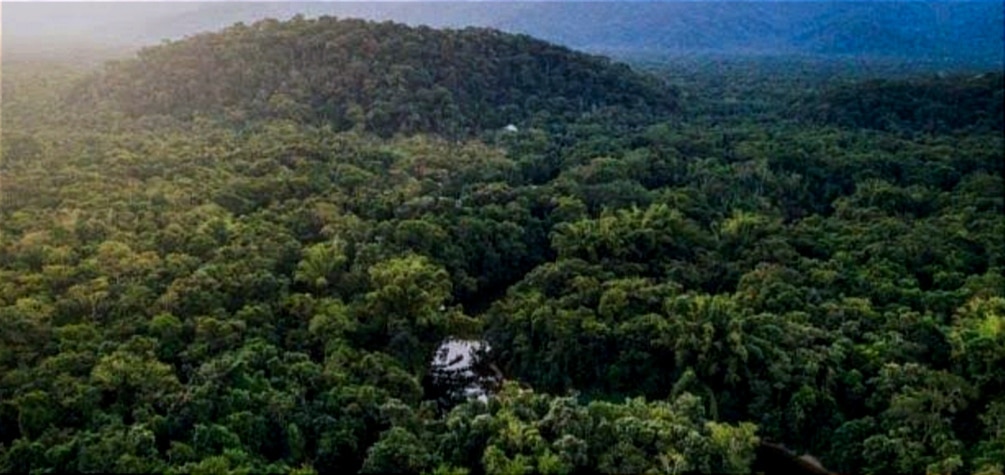 Meneguhkan Etika Lingkungan dan Keadilan Sosial: Perspektif Filosofis Konflik Hutan di Bima - Kabar Harian Bima