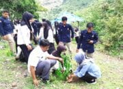 Usai Dilantik, 2.828 KPPS di Kota Bima Tanam Pohon Bersama