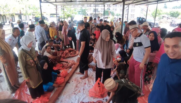 Idul Adha 1445 H, Polres Bima Kota Qurban 10 Sapi dan 3 Kambing