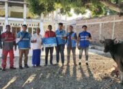 Idul Adha 1445 H, PT PLN Berbagi 964 Paket Daging Qurban