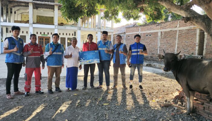 Idul Adha 1445 H, PT PLN Berbagi 964 Paket Daging Qurban