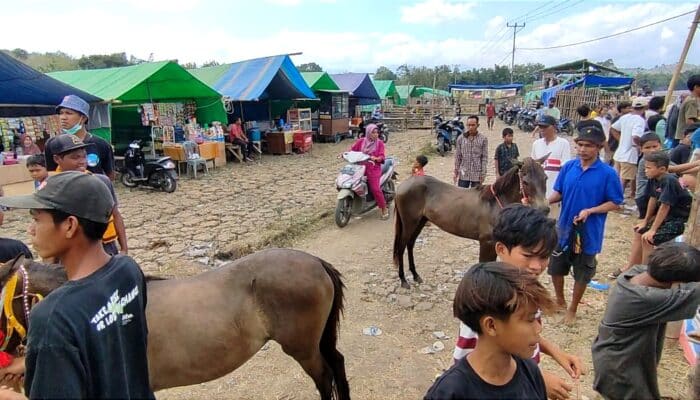 Pacuan Kuda Tradisional Kota Bima, Jadi Ladang Cuan Warga, Perputaran Ekonomi Meningkat