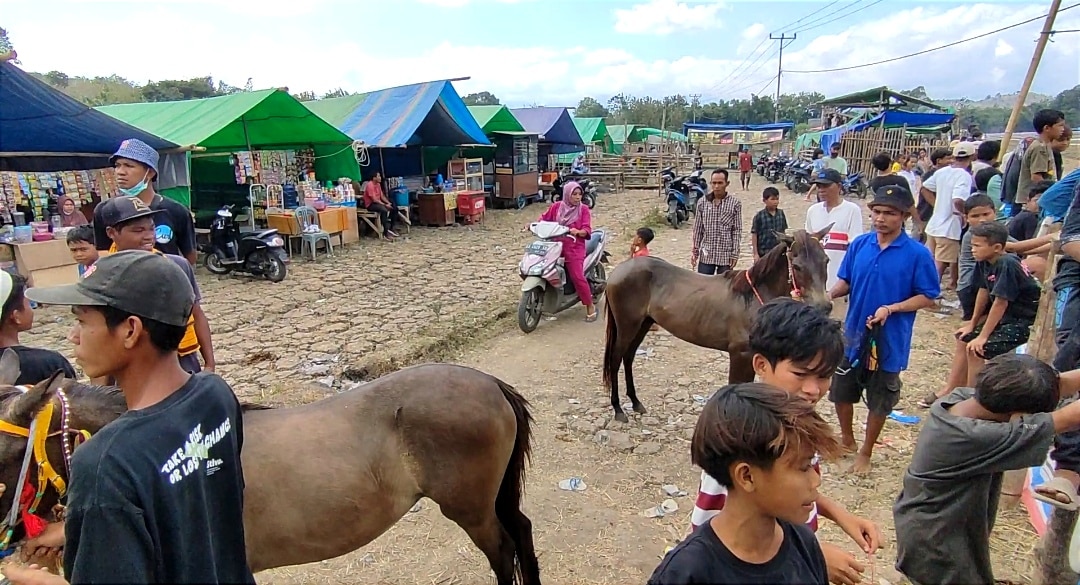 Pacuan Kuda Tradisional Kota Bima, Jadi Ladang Cuan Warga, Perputaran Ekonomi Meningkat - Kabar Harian Bima