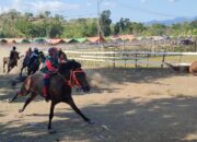 Semi Final Pacuan Kuda Sambinae, Perebutan Tiket Menuju Final Semakin Ketat - Kabar Harian Bima
