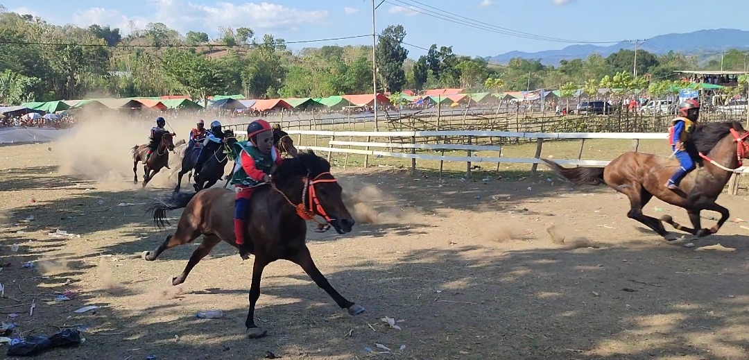 Semi Final Pacuan Kuda Sambinae, Perebutan Tiket Menuju Final Semakin Ketat - Kabar Harian Bima