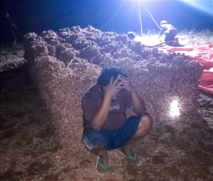 Harga Bawang Merah di Bima Anjlok, Petani Menjerit dan Rugi Banyak - Kabar Harian Bima