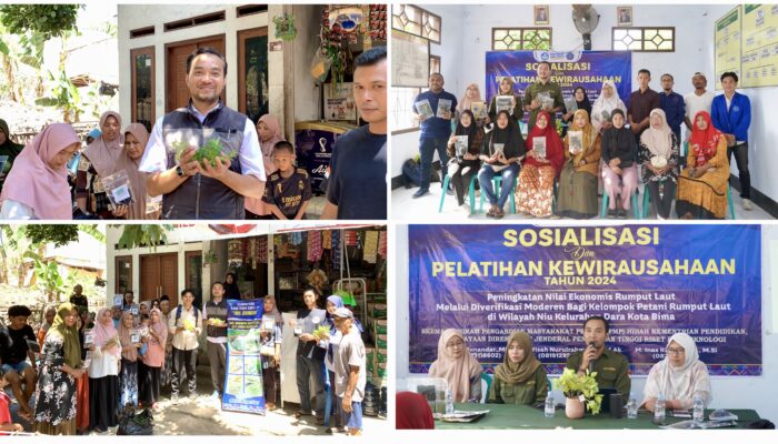 Dosen STIE Bima Tingkatkan Ekonomi Petani Rumput Laut Lewat Program Diversifikasi Modern