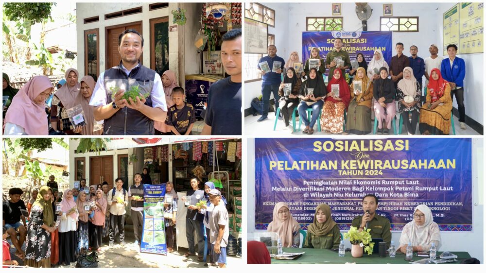 Dosen STIE Bima Tingkatkan Ekonomi Petani Rumput Laut Lewat Program Diversifikasi Modern - Kabar Harian Bima