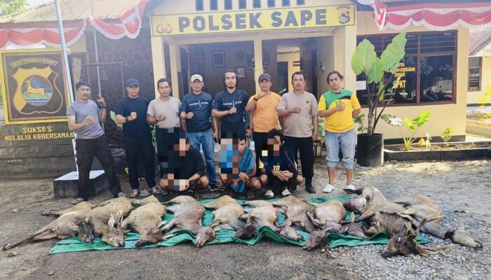 Penyelundupan Menjangan Langka dari Pulau Komodo, 3 Pelaku Ditangkap di Bima