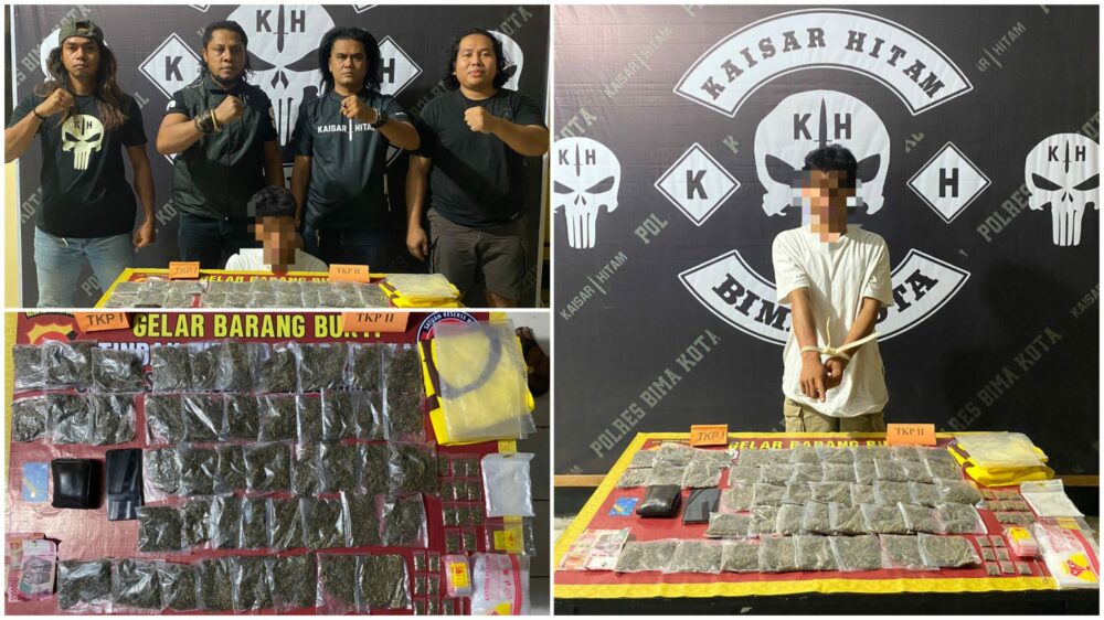 Aksi Oknum Mahasiswa Edarkan Ganja Digagalkan, Tim Kaisar Hitam Amankan 63 Poket - Kabar Harian Bima