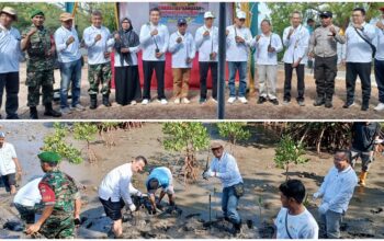 Jaga Kelestarian Lingkungan, PT PLN Tanam 5.000 Mangrove di Batas Kota