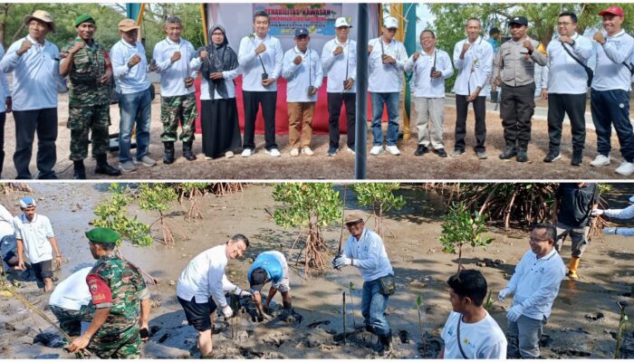 Jaga Kelestarian Lingkungan, PT PLN Tanam 5.000 Mangrove di Batas Kota