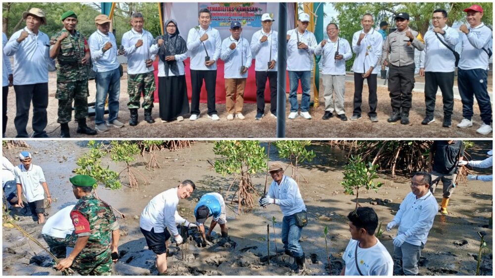 Jaga Kelestarian Lingkungan, PT PLN Tanam 5.000 Mangrove di Batas Kota - Kabar Harian Bima