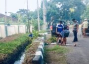 Jaga Keindahan Kota, DLH Intensifkan Pembersihan Drainase dan Semak Liar - Kabar Harian Bima