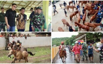 662 Kuda Berlaga di Dandim Bima Cup I, Tradisi Lokal yang Mendunia - Kabar Harian Bima